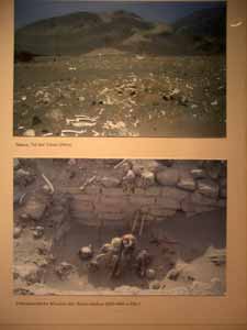 Warning: Undefined variable $titel in /mnt/web607/b2/52/5309852/htdocs/riemer-museum/Riemer-Fotos/fotoanzeige.php on line 100