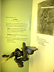 Warning: Undefined variable $titel in /mnt/web607/b2/52/5309852/htdocs/riemer-museum/Riemer-Fotos/fotoanzeige.php on line 100