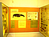 Warning: Undefined variable $titel in /mnt/web607/b2/52/5309852/htdocs/riemer-museum/Riemer-Fotos/fotoanzeige.php on line 100