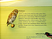 Warning: Undefined variable $titel in /mnt/web607/b2/52/5309852/htdocs/riemer-museum/Riemer-Fotos/fotoanzeige.php on line 105