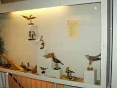 Warning: Undefined variable $titel in /mnt/web607/b2/52/5309852/htdocs/riemer-museum/Riemer-Fotos/fotoanzeige.php on line 100