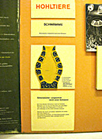 Warning: Undefined variable $titel in /mnt/web607/b2/52/5309852/htdocs/riemer-museum/Riemer-Fotos/fotoanzeige.php on line 105