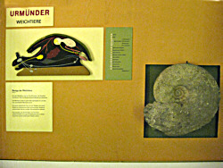Warning: Undefined variable $titel in /mnt/web607/b2/52/5309852/htdocs/riemer-museum/Riemer-Fotos/fotoanzeige.php on line 105